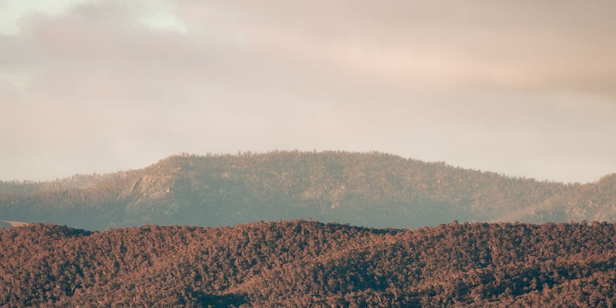 Bush landscape in the Australian Capital Territory