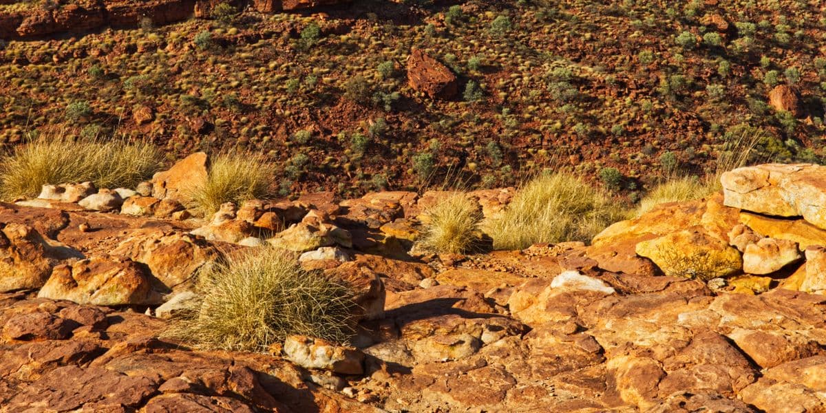 Northern Territory outback landscape