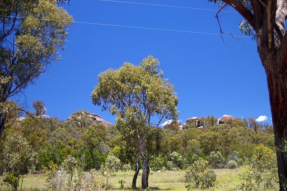 Durikai State Forest fossicking area on the Darling Downs