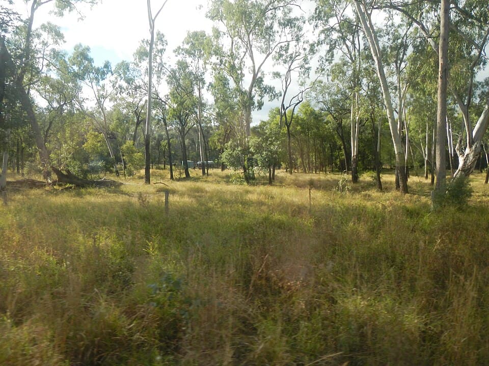Open fossicking ground at the Willows gemfield