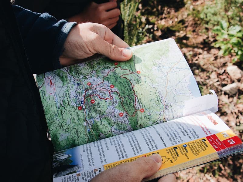 Hiker holding a map while exploring a forest trail