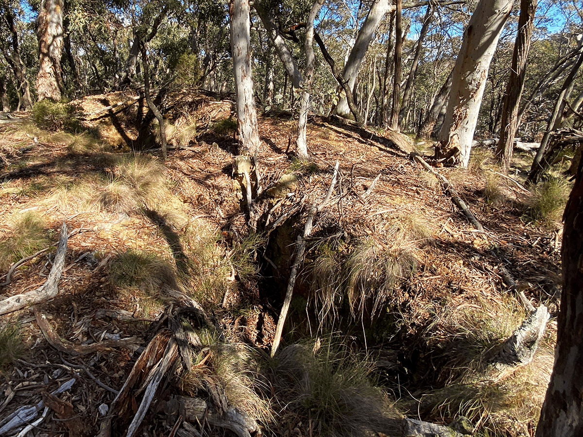 Ground photo confirming old workings visible in ultra high res LiDAR