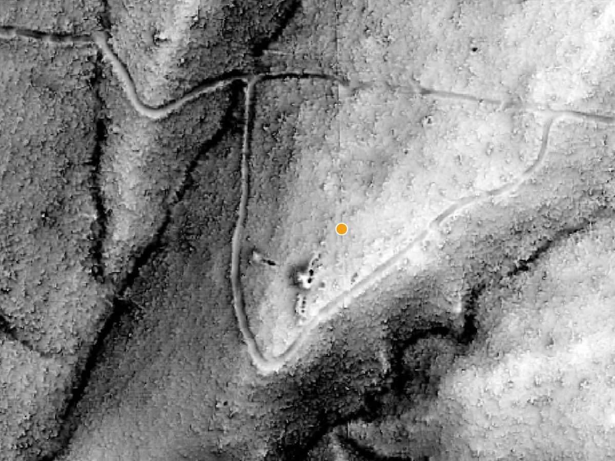 Dig Here ultra high res LiDAR revealing tracks, water races and old workings under the same bush